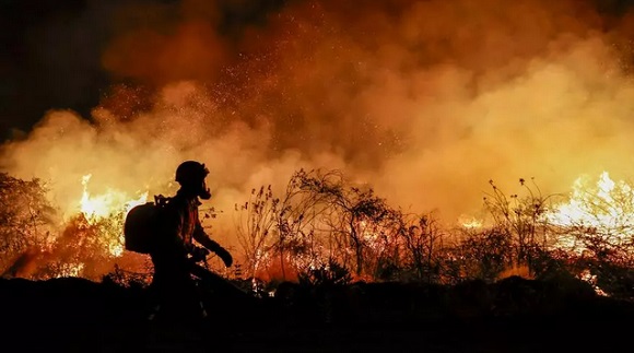 dos-fallecidos-y-30-ciudades-en-alerta-maxima:-el-saldo-de-los-incendios-en-sao-paulo