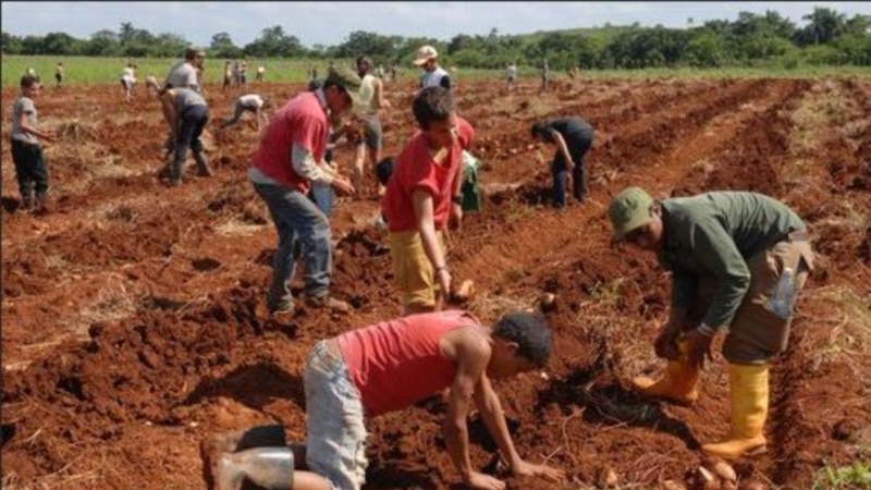 cubanos-rechazan-medidas-anunciadas-por-autoridades-de-educacion