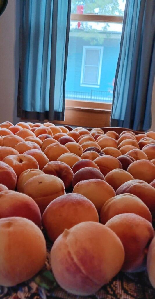 peach-orgy,-bisbee,-arizona-(usa)-–-photo-of-the-day