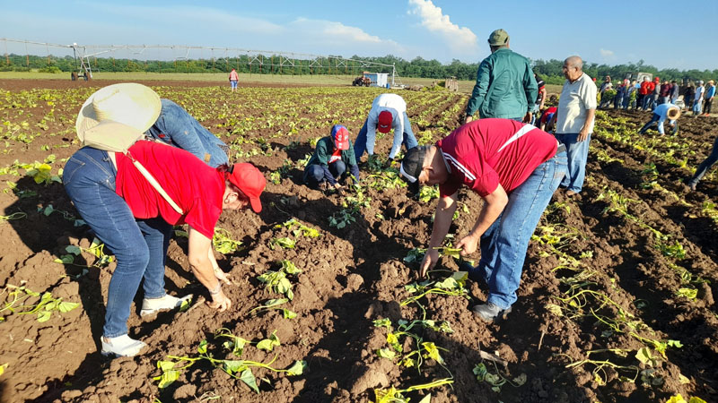 en-holguin:-campana-de-frio-junto-al-pueblo