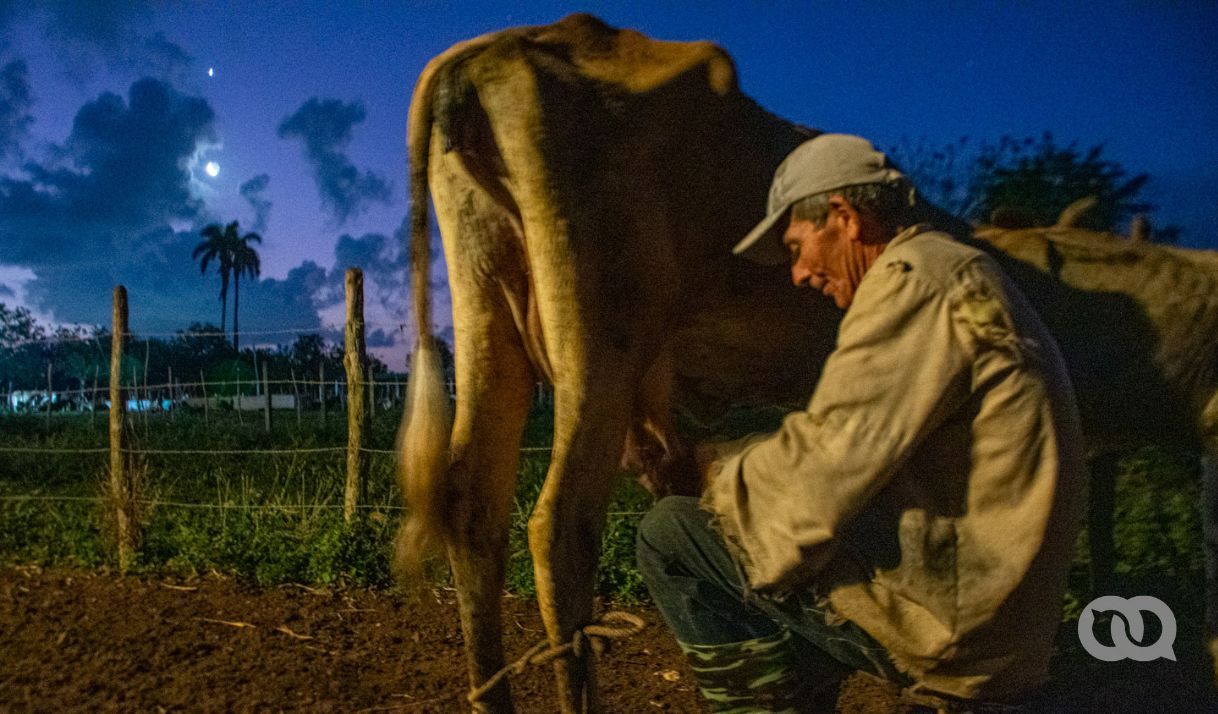 contratacion-forzada:-solucion-para-la-baja-inversion-agricola-y-el-mercado-disfuncional