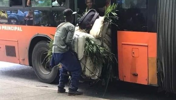 cese-de-chofer-y-cobrador-de-ruta-p1-en-la-habana-por-grave-indisciplina