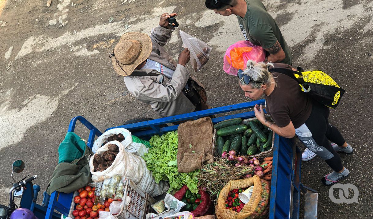 ¿tendremos-boniato?-la-nueva-politica-de-contratacion-de-productos-agricolas-para-2025