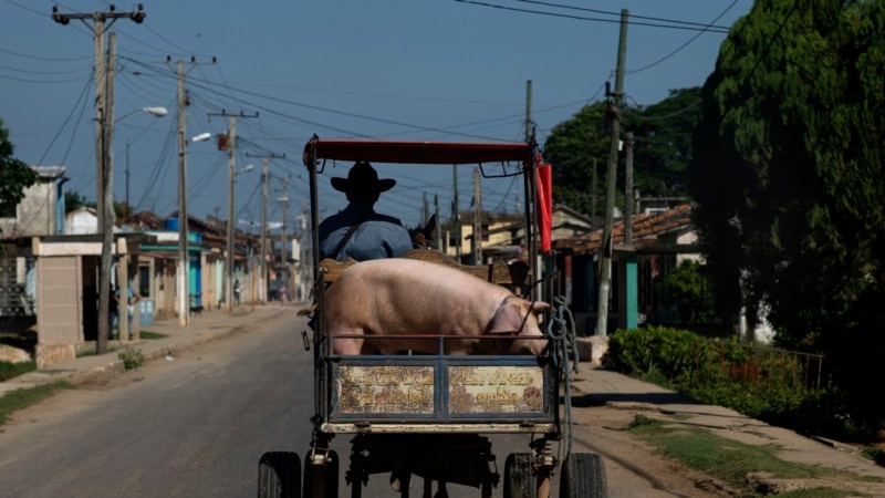 entran-en-vigor-nuevas-regulaciones-para-el-sector-privado-en-cuba