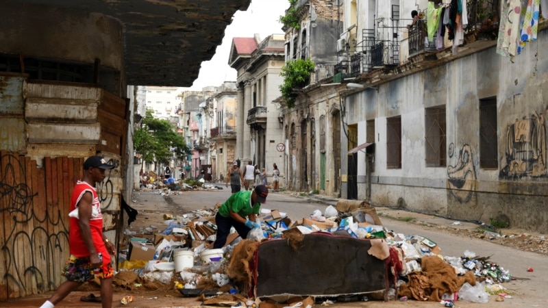 cientifico-cubano:-deterioro-de-la-economia-ha-creado-un-entorno-ideal-para-el-dengue-y-el-oropouche