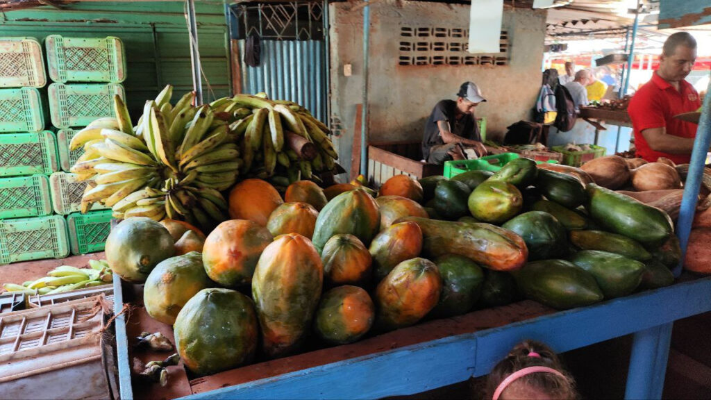 the-voluptuous-‘frutabomba’-is-no-longer-within-the-reach-of-every-cuban’s-purse