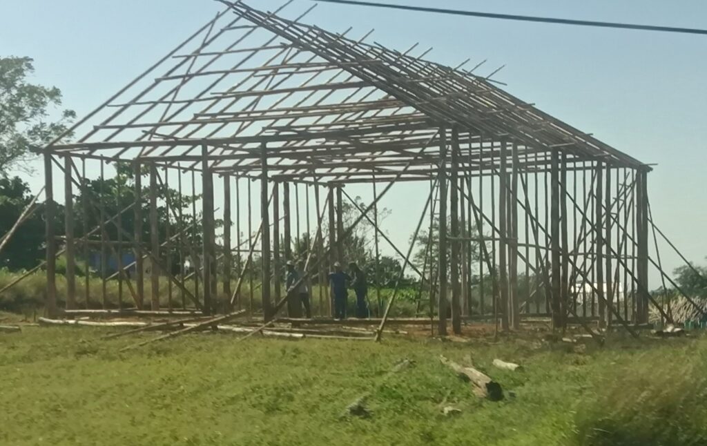 en-nueva-campana-tabacalera,-cuba-busca-dejar-atras-mala-racha