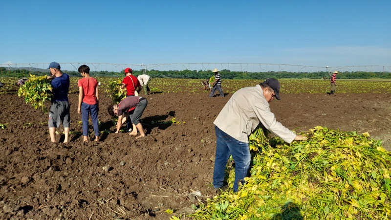 producciones-agropecuarias-sin-intermediarios