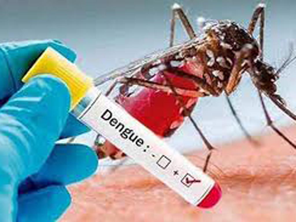 the-americas-report-more-dengue-cases-in-2024-than-in-previous-years